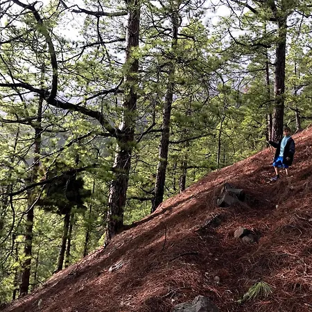 Moonlight Dom wakacyjny *